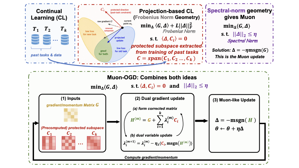 Muon-OGD overview: continual learning + projection geometry + spectral-norm Muon update.
